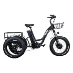 Триколісний електрофетбайк EBIKE TRIKE 20 1000W 48V (20×4″) вантажний LCD PAS - Зображення 2